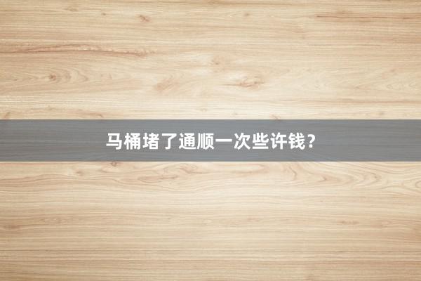 马桶堵了通顺一次些许钱？