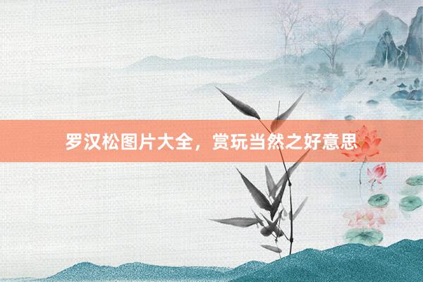 罗汉松图片大全，赏玩当然之好意思