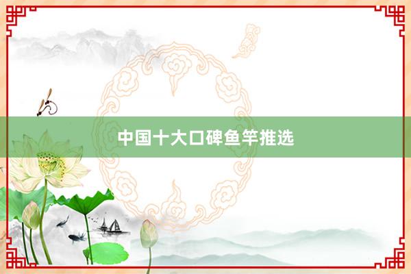 中国十大口碑鱼竿推选