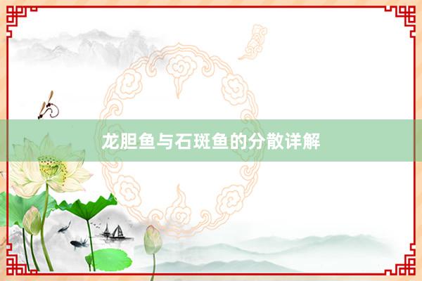 龙胆鱼与石斑鱼的分散详解